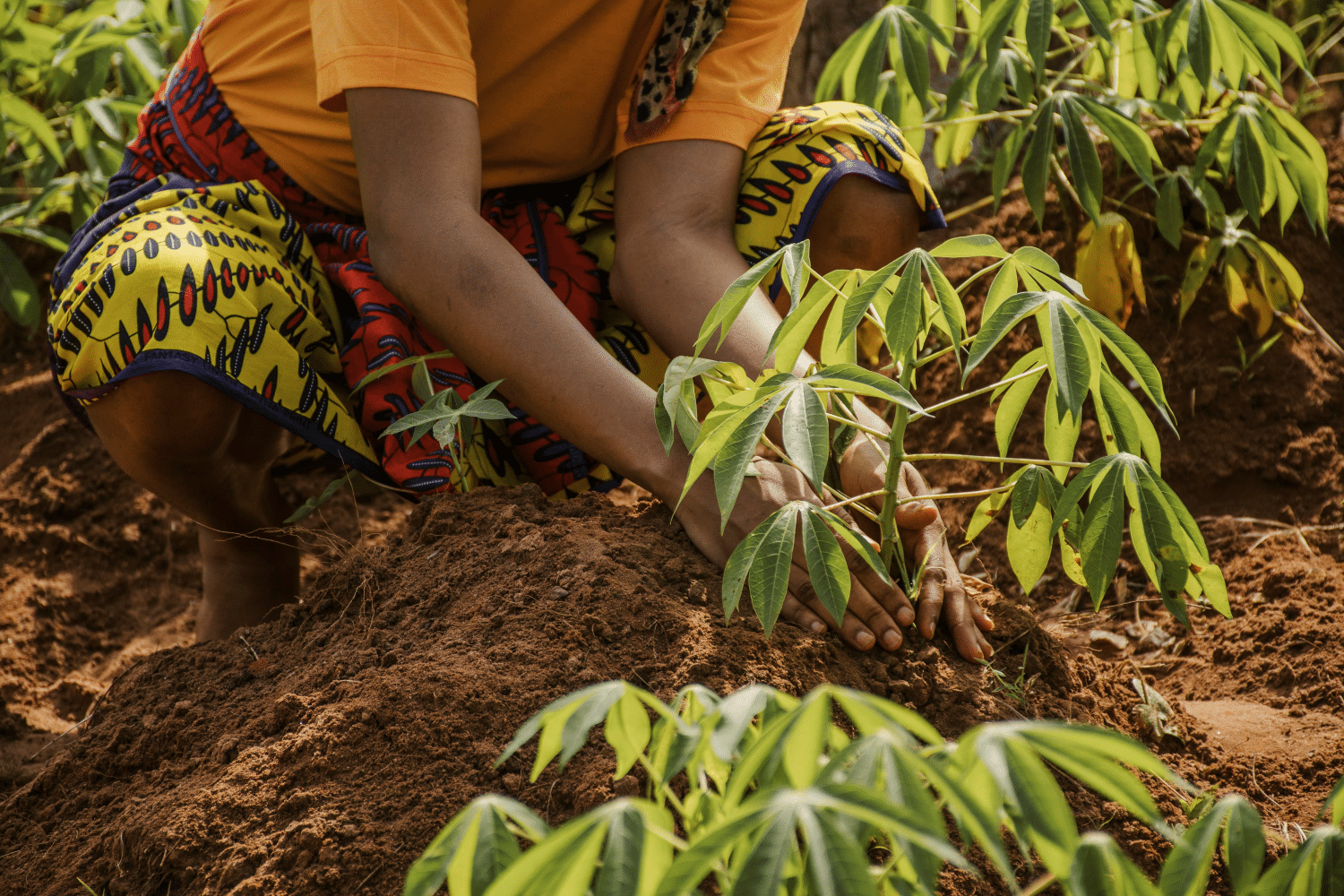 Améliorer de façon durable le sort des communautés les plus défavorisées et vulnérables.