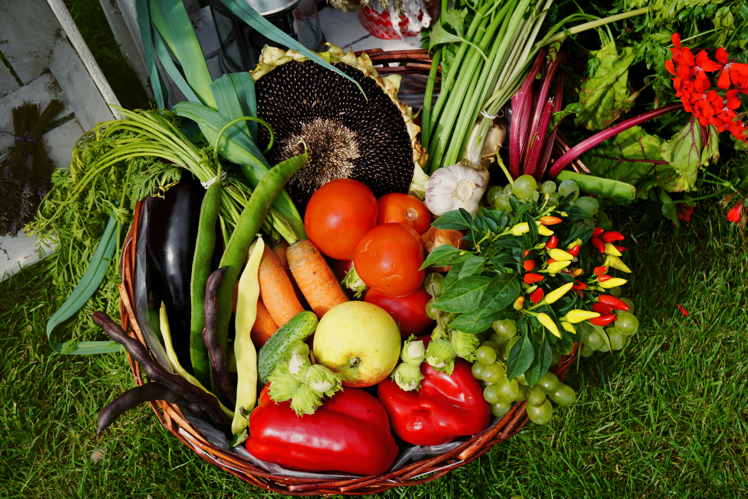 Des systèmes alimentaires résilients, inclusifs et sains pour tous.