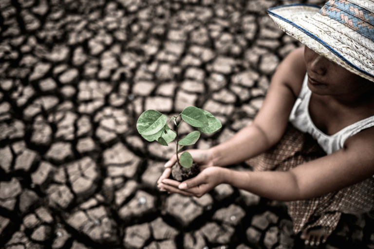 women-are-sitting-holding-seedlings-are-dry-land-warming-world